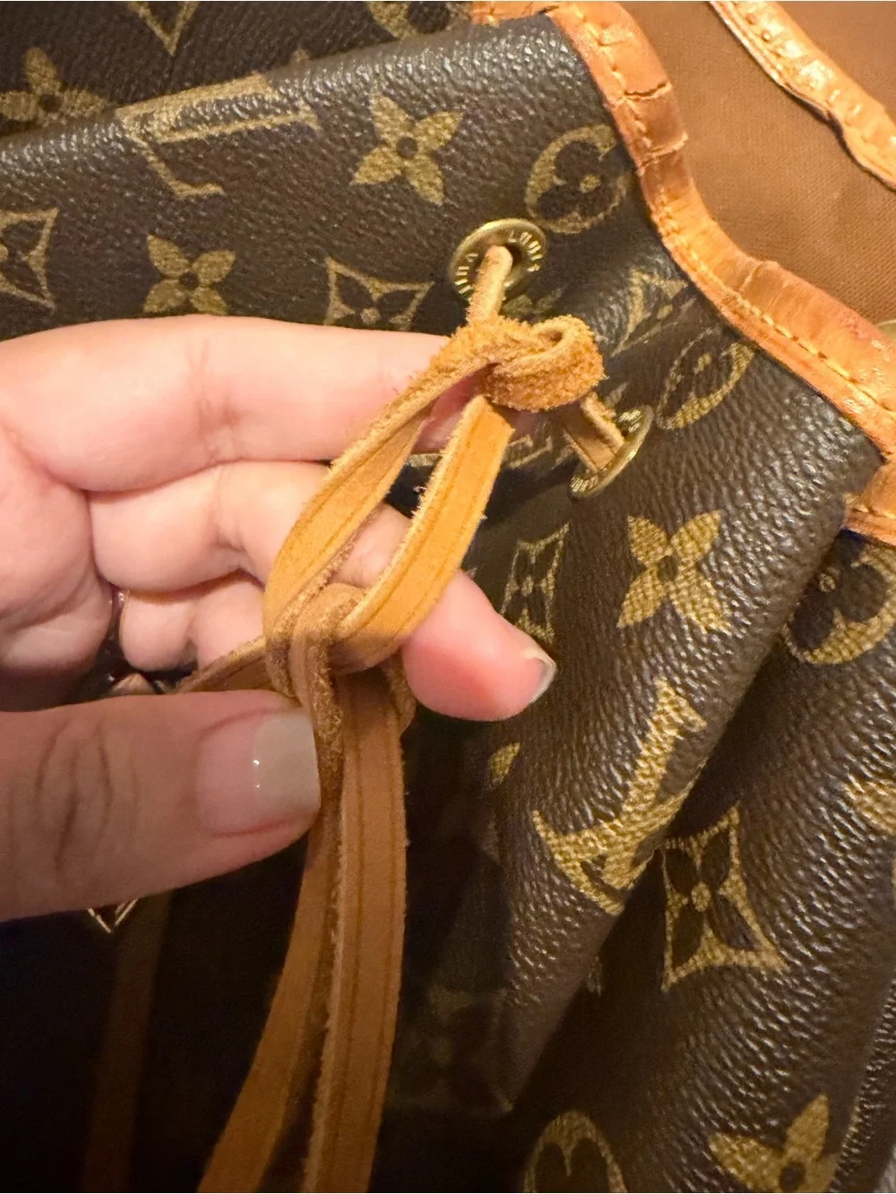 Louis Vuitton Montsouris GM Backpack